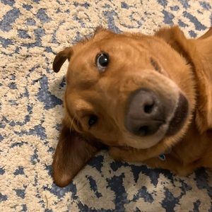 Meet your Posher, Courtney